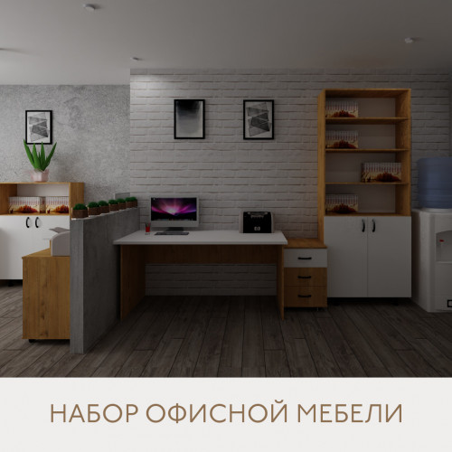 Набор офисной мебели C002